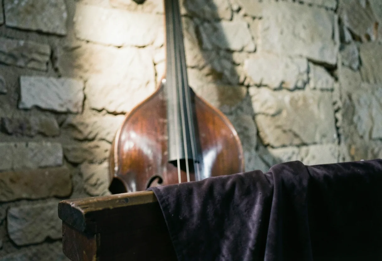 Sub Contrabass: Rare Early Instruments
